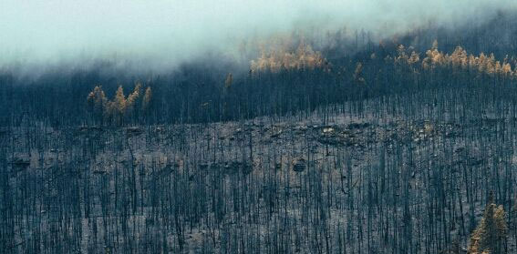 Ingeniero Industrial Sevilla, Solido Ingeniería Industrial